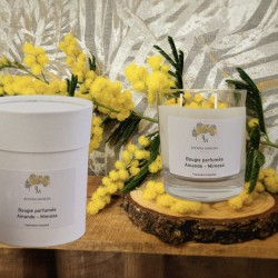 Bougie amande - mimosa...