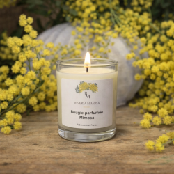 Bougie mimosa petit modèle