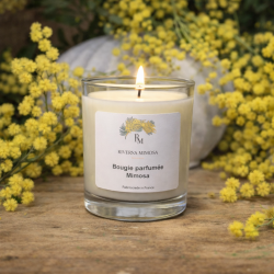 Bougie mimosa modèle classique