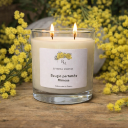 Bougie mimosa grand modèle
