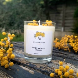 Bougie mimosa petit modèle