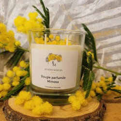 Bougie mimosa grand modèle