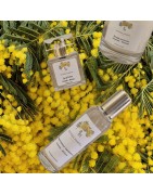 Senteurs amande mimosa - Riviera Mimosa